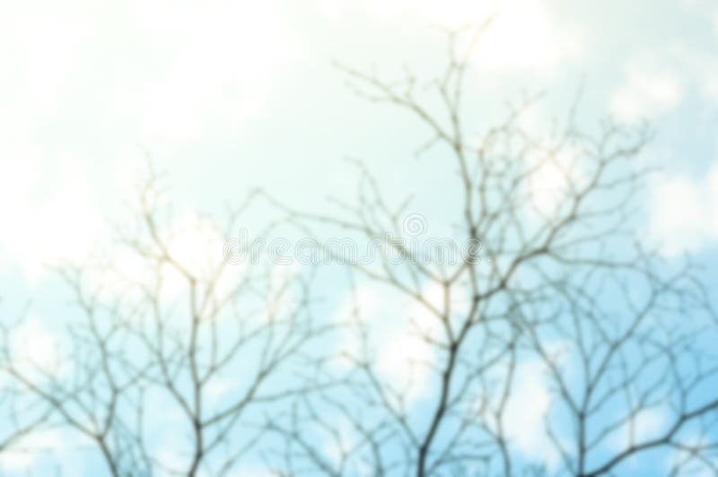 Blur Background of Dry Tree Branch Silhouette Over Blue Sky Stock Image ...