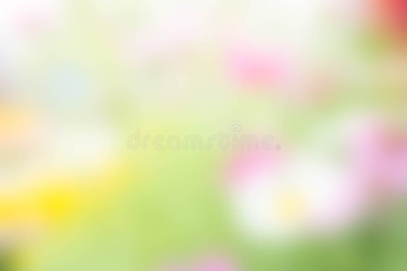 Blur Background , Green Mix Colorful Background Stock Photo - Image of  space, pattern: 92962536