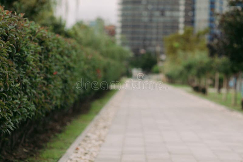 402 Blur Background Pathway Park Garden Stock Photos - Free & Royalty-Free  Stock Photos from Dreamstime