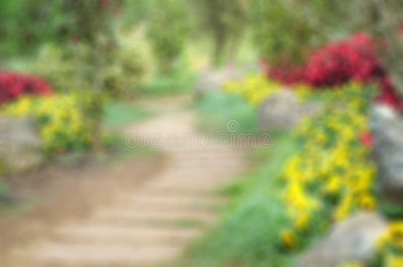 402 Blur Background Pathway Park Garden Stock Photos - Free & Royalty-Free  Stock Photos from Dreamstime