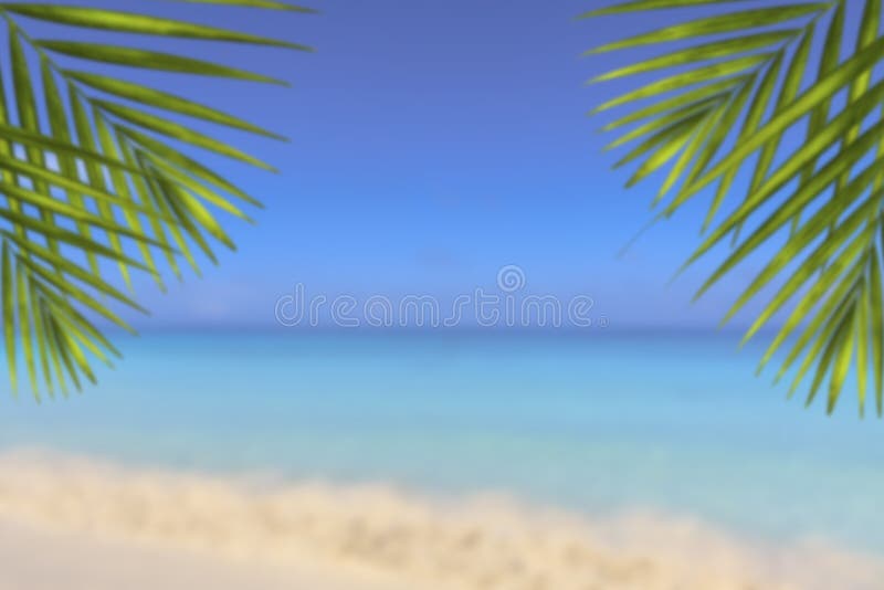 Blur beautiful nature green palm leaf on tropical beach with bokeh sun light wave abstract background. Copy space of summer vacati