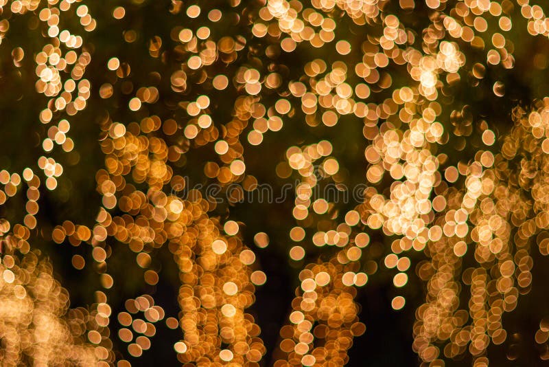 Blur - bokeh - Decorative outdoor string lights hanging on tree in the garden at night time