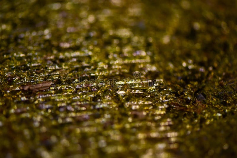 .Blur Dried Seaweed Sheets with Delicious Salt Flavor Stock Image