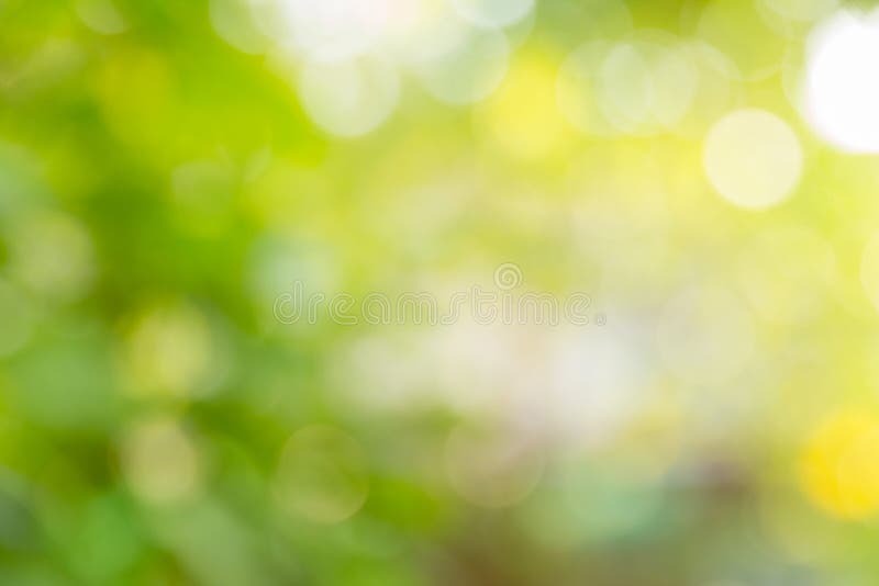 Blur Green Nature Background Stock Photo - Image of effect, colorful