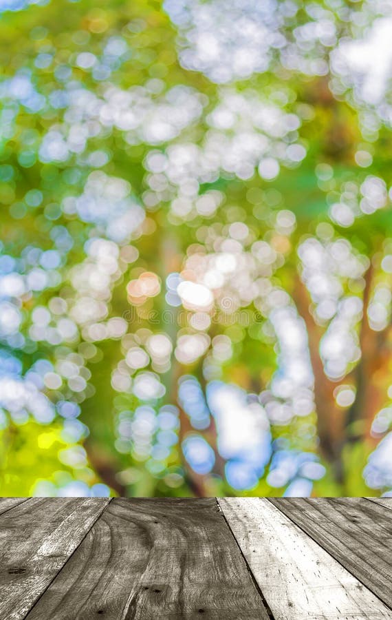 Blur Image Of Abstract Bokeh Of Tree Green Color Background Stock Photo