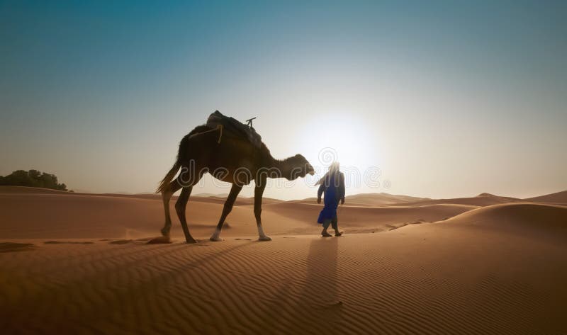 Blur photo - abstract image for the background. A man with a camel travels through the desert in backlight.