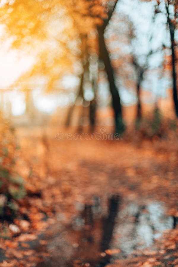 Mùa thu (Autumn): Mùa thu là khoảng thời gian đặc biệt của năm khi cây cối chuyển màu rực rỡ, tạo nên khung cảnh vô cùng đẹp mắt và lãng mạn. Hãy cùng chiêm ngưỡng những bức ảnh mùa thu đẹp nhất để cảm nhận được sức hút và sự sâu lắng của mùa thu.