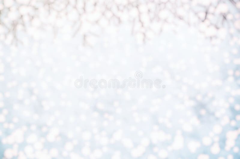 Blurred Christmas Tree Leaves on Top with Bokeh Falling Snow Background. royalty free stock image