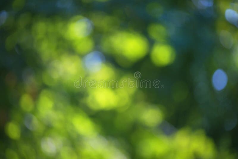 Blurred bokeh effect on a background of green tree leaves royalty free stock photography Blurred bokeh effect on a background of green tree leaves royalty free stock photography
