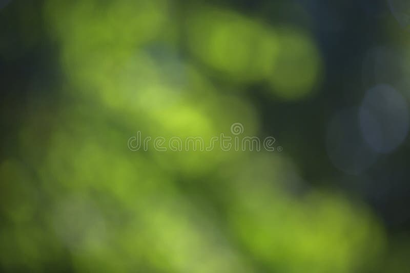 Blurred bokeh effect on a background of green tree leaves royalty free stock photos Blurred bokeh effect on a background of green tree leaves royalty free stock photos