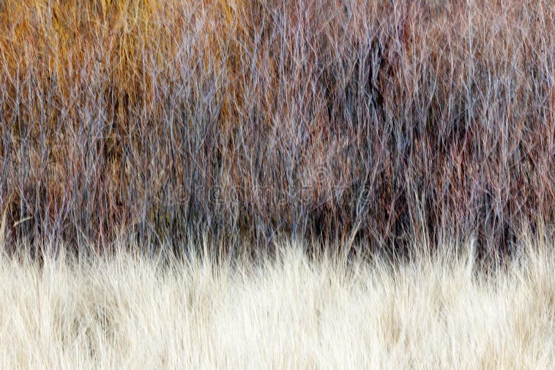 Witches In Nature S Colors Witches In Nature S Colors