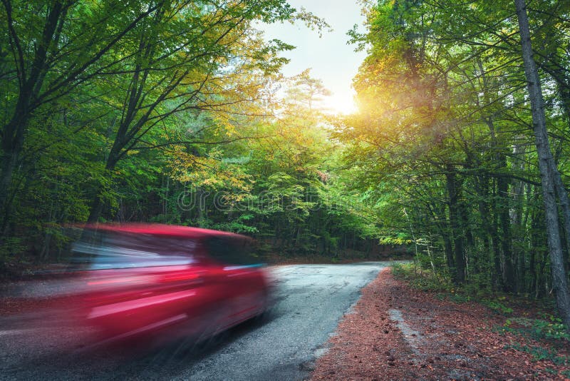 Blurred car going mountain road in summer forest at sunset