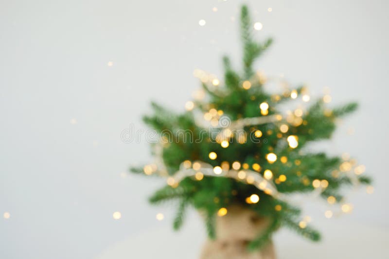 Blurred christmas tree with twinkling lights in soft focus royalty free stock photos