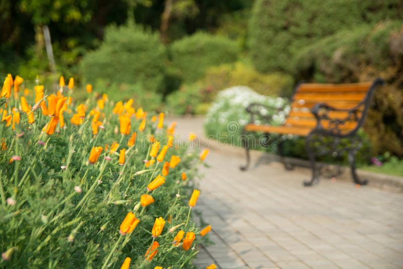 Blurred Flowers and Chair Background in Garden Stock Image - Image of  nature, plant: 188191691