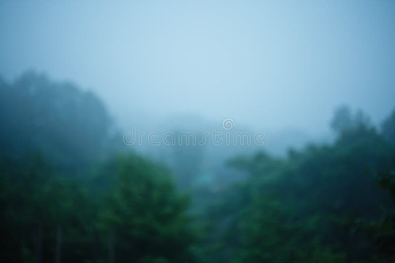 Abstract Blurred Foggy Forest. Abstract Forest Background. Stock Image -  Image of blurry, fantasy: 116953525
