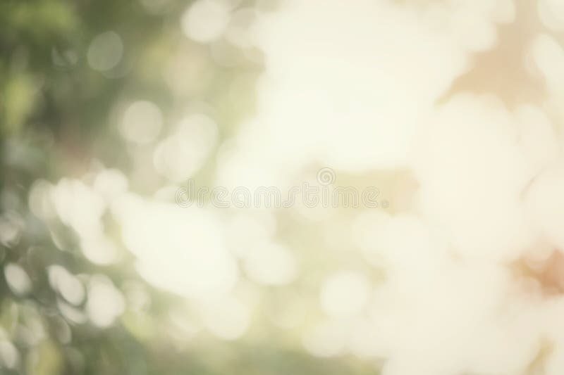 Blurred forest background stock images