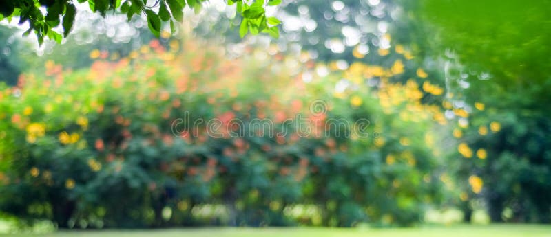 Blurred Garden in Spring Nature Outdoor Background, Blur Green Tree Park in Summer Background, Banner, Defocus Spring Foliage Stock Photo - Image of countryside, beautiful: 226374798 Blurred Garden in Spring Nature Outdoor Background, Blur Green Tree Park in Summer Background, Banner, Defocus Spring Foliage Stock Photo - Image of countryside, beautiful: 226374798