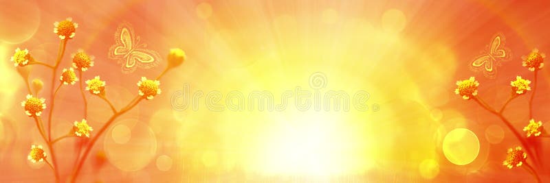 Blurred Natural Background. Delicate Natural Background in Warm Yellow  Colors .Small Flowers and Butterflies Stock Illustration - Illustration of  fantasy, morning: 213422730