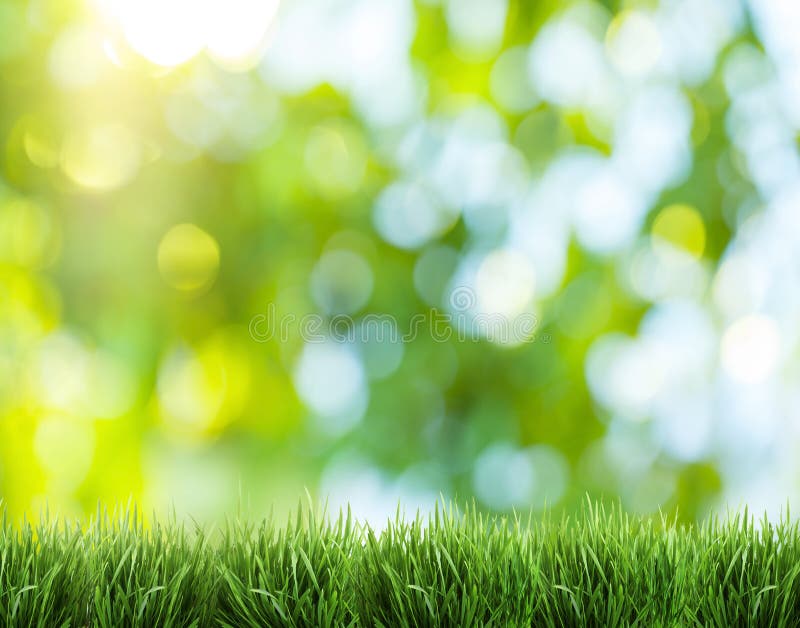 Blurred nature background. stock photo. Image of lawn - 37848316