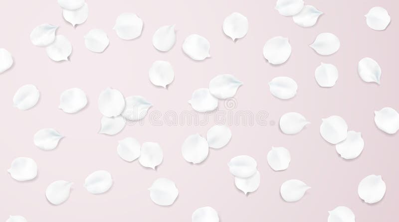 Blurred pastel background with flower petals.