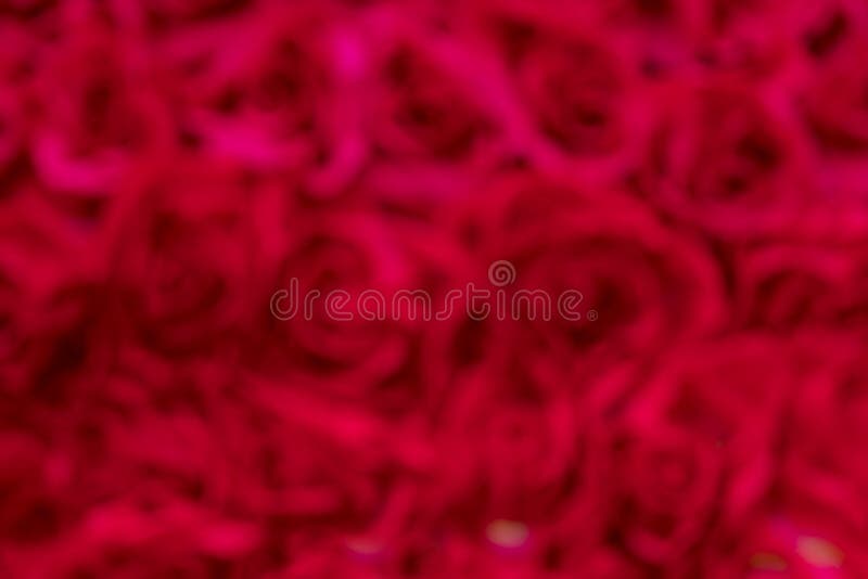 Blurred of Red Rose Background, Decoration Flora Wallpaper. Stock Image -  Image of closeup, beautiful: 149506629