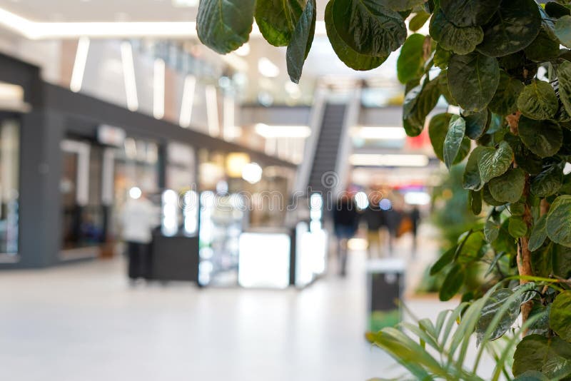 Blurred Shopping Mall Interior Background with Green Plant Frame