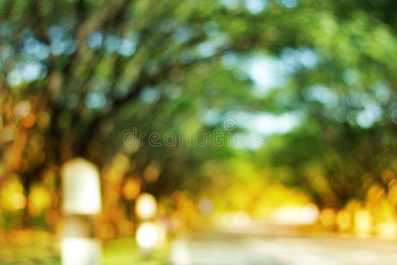 Blurred Tree and Road, the Nature Background Abstract Stock Photo - Image  of foliage, environment: 146188974