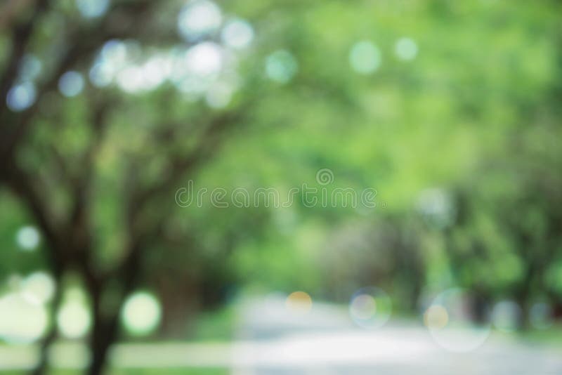 The Blurred Tree and Road in Nature Stock Image - Image of round, plant:  158148975