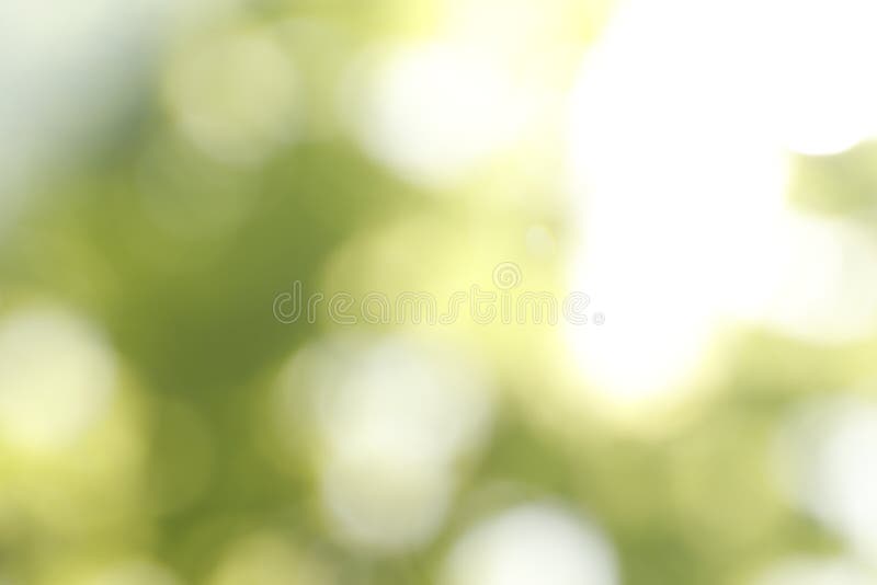 Blurred view of abstract green background. Bokeh effect stock image Blurred view of abstract green background. Bokeh effect stock image