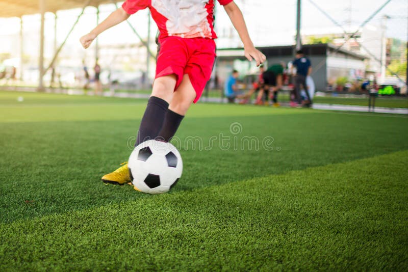 74 228 Ball Boy Photos Free Royalty Free Stock Photos From Dreamstime