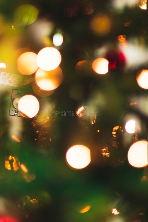 Blurry Christmas Background for Concept Images Stock Image Image of