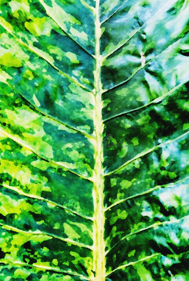 Blurry painting a organic of green leafe background