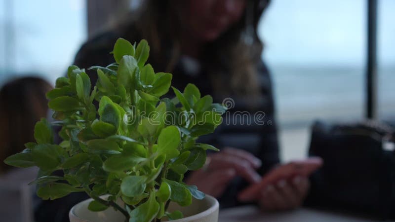 Blurry woman in black chats online using phone by pot flower