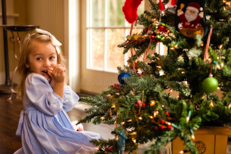 Blushing Over The Christmas Tree stock images Blushing Over The Christmas Tree stock images