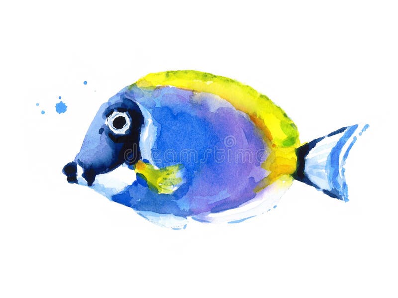 Blå dragen Coral Reef Fish Watercolor Illustration hand stock illustrationer Blå dragen Coral Reef Fish Watercolor Illustration hand stock illustrationer