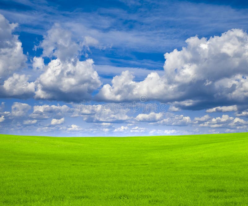 blå fältgreensky royaltyfri bild blå fältgreensky royaltyfri bild
