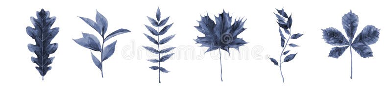 Blå vattenfärg kvar. illustration av botaniska vattenfärger isolerad på vit bakgrund. stock illustrationer