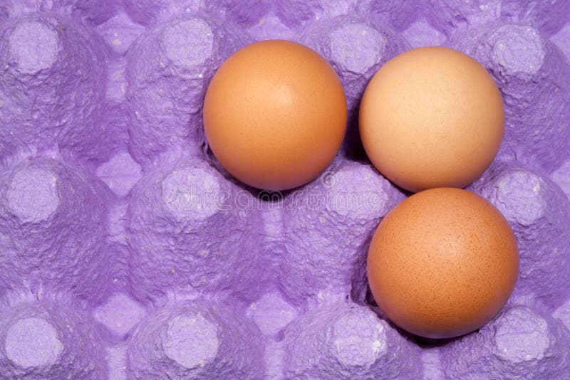 Blått äggmagasin med ägg arkivfoton Blått äggmagasin med ägg arkivfoton