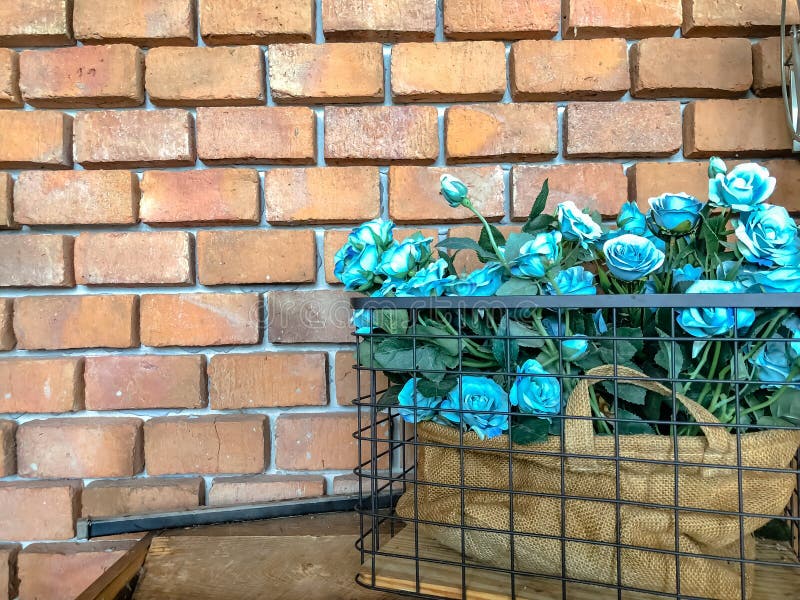Blåttros på korgen med gammal murverkbakgrund, bakgrund av gamla texturer för tappningtegelstenvägg, konstruktionsbyggnad royaltyfri foto Blåttros på korgen med gammal murverkbakgrund, bakgrund av gamla texturer för tappningtegelstenvägg, konstruktionsbyggnad royaltyfri foto