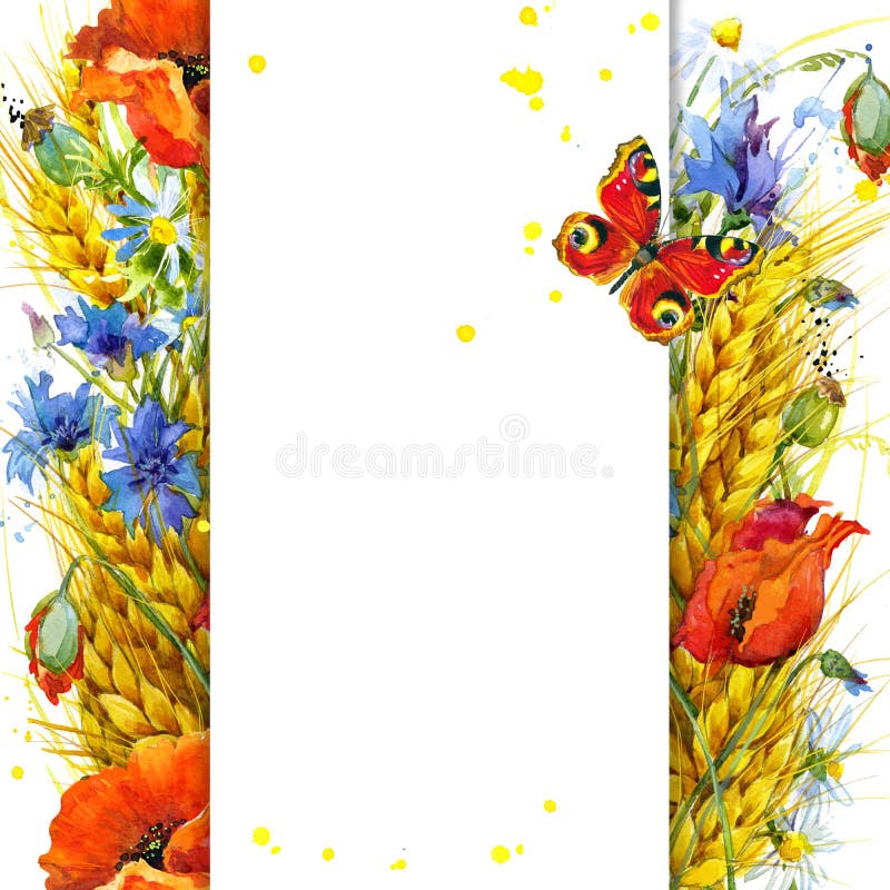 Blé et wildflower Illustration d'aquarelle illustration de vecteur Blé et wildflower Illustration d'aquarelle illustration de vecteur