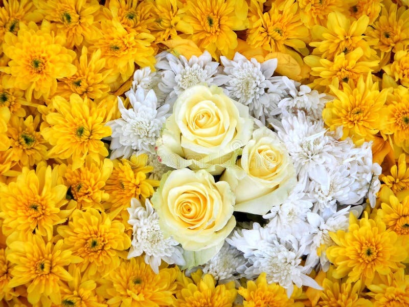 Blühen Sie Verzierung, weiße Rosen und gelbe chrysanths lizenzfreie stockbilder Blühen Sie Verzierung, weiße Rosen und gelbe chrysanths lizenzfreie stockbilder