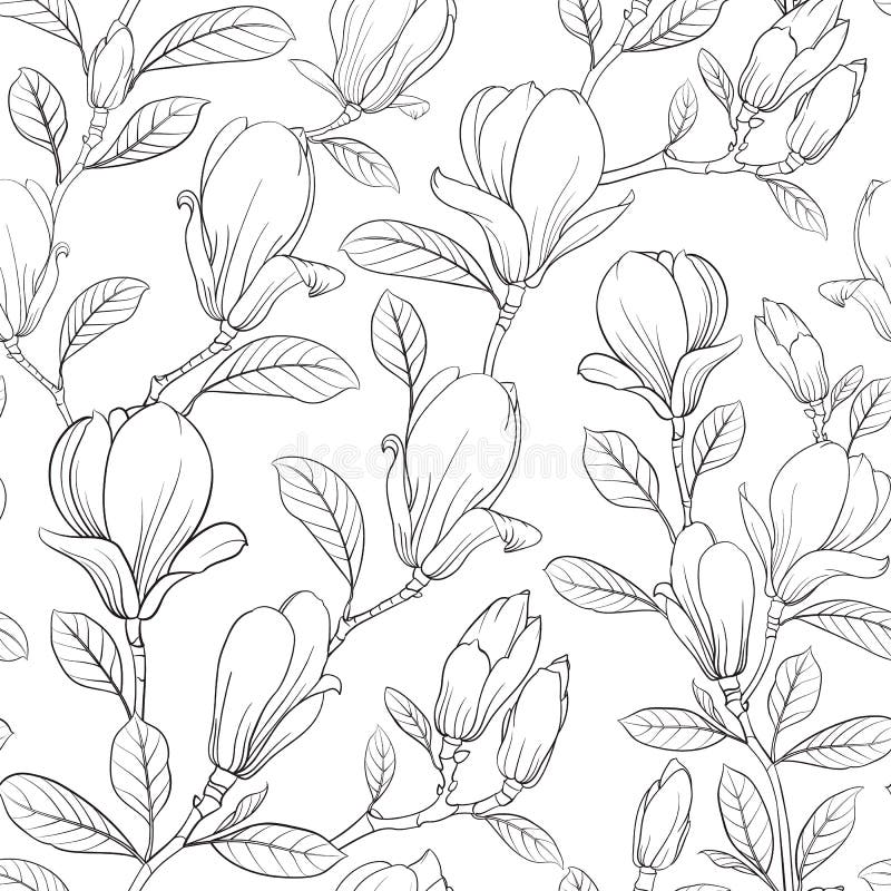 Blühende Blume der Magnolie lizenzfreie abbildung Blühende Blume der Magnolie lizenzfreie abbildung