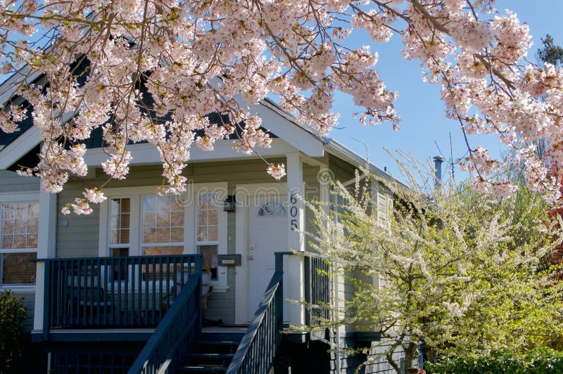 Blüten auf Kirschbäumen gestalten ein Haus auf Moss St, Victoria BC stockbild Blüten auf Kirschbäumen gestalten ein Haus auf Moss St, Victoria BC stockbild