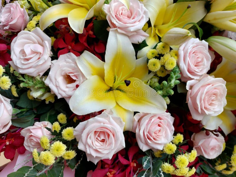 Blütenblume. Rosa Rosa in einem rosa-weißen Blumenstrauß im Hintergrund Rosen