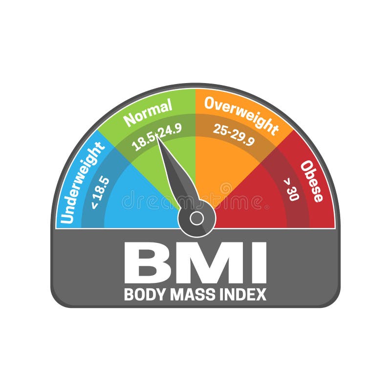 body mass index calculator visual basic