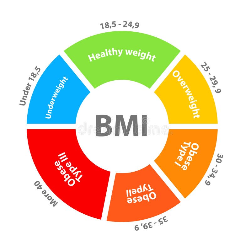 Bmi chart scale body mass Royalty Free Vector Image