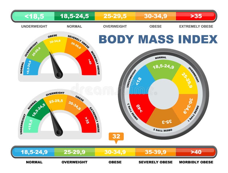 https://thumbs.dreamstime.com/b/bmi-chart-scale-flat-vector-illustration-body-mass-index-meter-weight-control-measurement-tool-bmi-chart-scale-vector-illustration-238087921.jpg