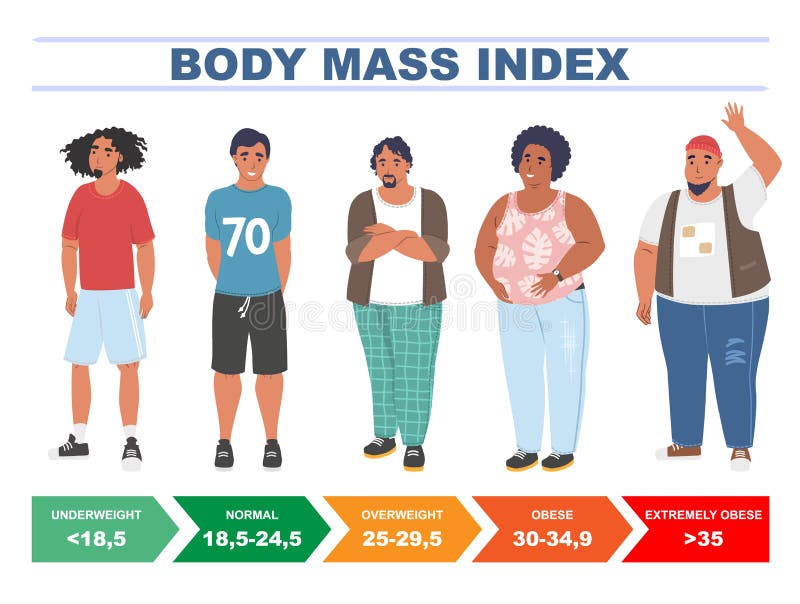 https://thumbs.dreamstime.com/b/bmi-men-flat-vector-illustration-body-mass-index-chart-including-extremely-obese-obese-overweight-normal-underweight-239066901.jpg