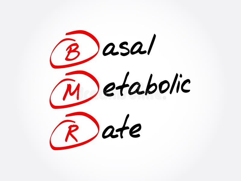 basal metabolic rate bmr basal metabolic rate bmr