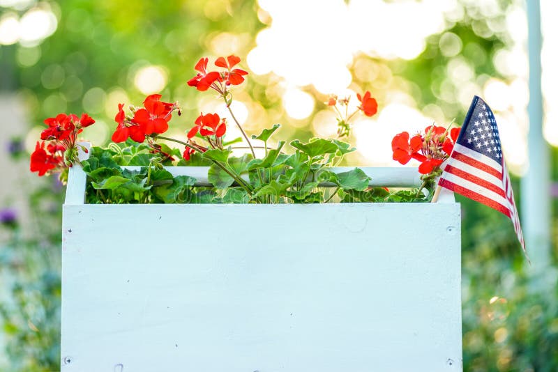 Boîte Blanche De Géraniums Avec Petit Drapeau Américain Dans Le Jardin  Image stock - Image du fleurs, patriotique: 277863983